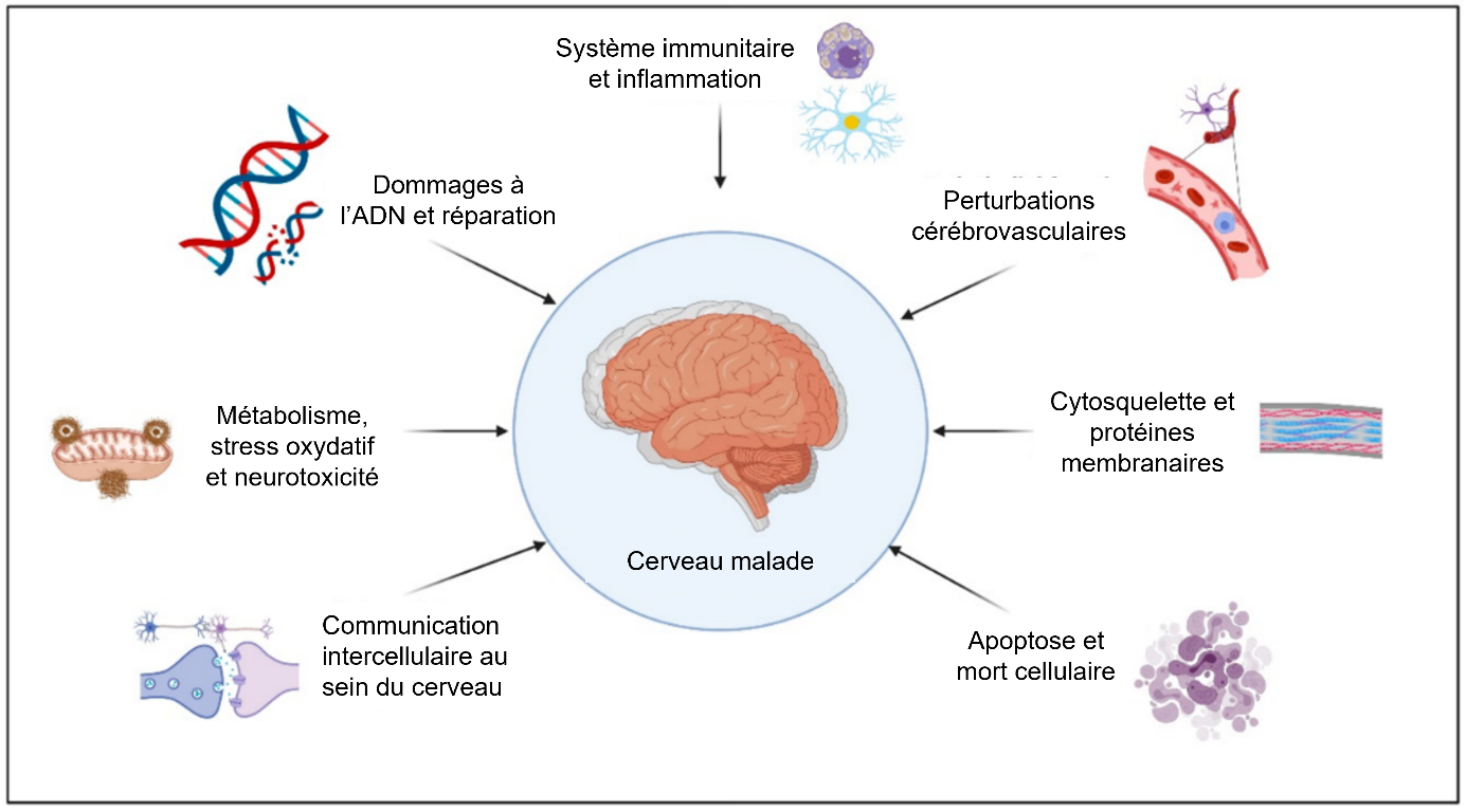 La Démence Du Duc De Venomania Scan Vf planet-vie.ens.fr